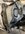 IMG_9544.jpeg