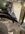 IMG_9545.jpeg