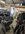 IMG_9546.jpeg
