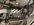 IMG_9549.jpeg