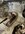 IMG_9552.jpeg