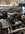 IMG_9551.jpeg