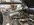 IMG_7194.JPEG IMG_7194.JPEG