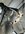 IMG_1103.jpeg