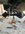 IMG_1112.jpeg