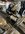 IMG_9558.jpeg