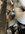 IMG_9559.jpeg