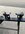 IMG_9560.jpeg