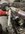 IMG_9567.jpeg
