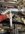 IMG_9566.jpeg