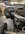 IMG_9564.jpeg