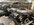 IMG_9563.jpeg