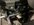 IMG_9571.jpeg