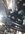 IMG_9574.jpeg