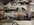 IMG_9579.jpeg