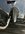 IMG_6765.jpeg