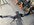 IMG_9587.jpeg