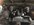 IMG_3576.jpeg