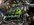 IMG_3253.jpeg