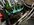 IMG_3258.jpeg