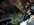 IMG_3260.jpeg