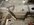 IMG_9602.jpeg