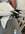 IMG_5452.jpeg