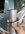 IMG_1212.jpeg