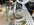 IMG_1219.jpeg