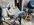IMG_1220.jpeg