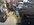 IMG_3296.jpeg
