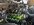 IMG_3297.jpeg