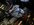 IMG_3287.jpeg