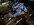 IMG_3286.jpeg