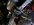 IMG_3284.jpeg