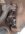 Resized_20240907_163327.jpeg