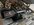 IMG_3298.jpeg