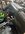 IMG_3300.jpeg