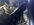 IMG_3302.jpeg