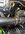 IMG_3305.jpeg