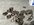IMG_6743.jpeg
