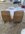IMG_6063.jpeg