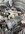 IMG_1039.jpeg
