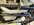 IMG_1231.jpeg