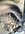 IMG_1233.jpeg