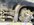 IMG_1234.jpeg