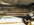 IMG_1238.jpeg