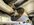 IMG_1239.jpeg