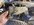 IMG_0859.jpeg
