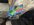 IMG_0871.jpeg